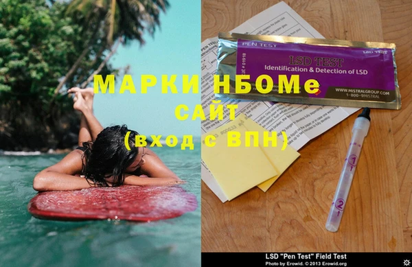 хмурый Алексин