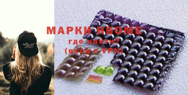 хмурый Алексин
