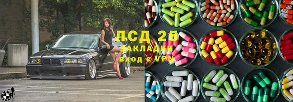 индика Алексеевка