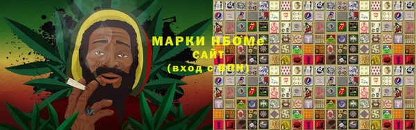 хмурый Алексин