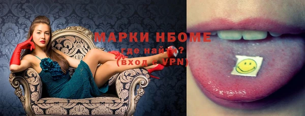 хмурый Алексин
