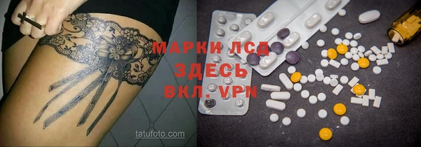 индика Алексеевка